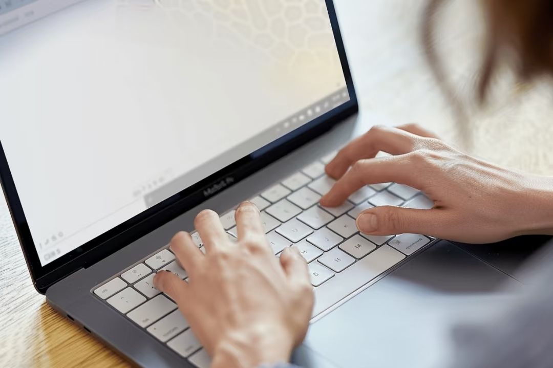 HASHBEAR 网站用户协议